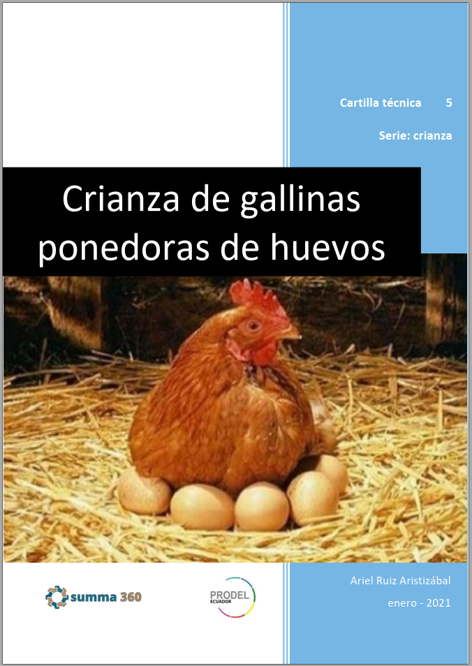 CRIANZA DE GALLINAS PONEDORAS DE HUEVOS