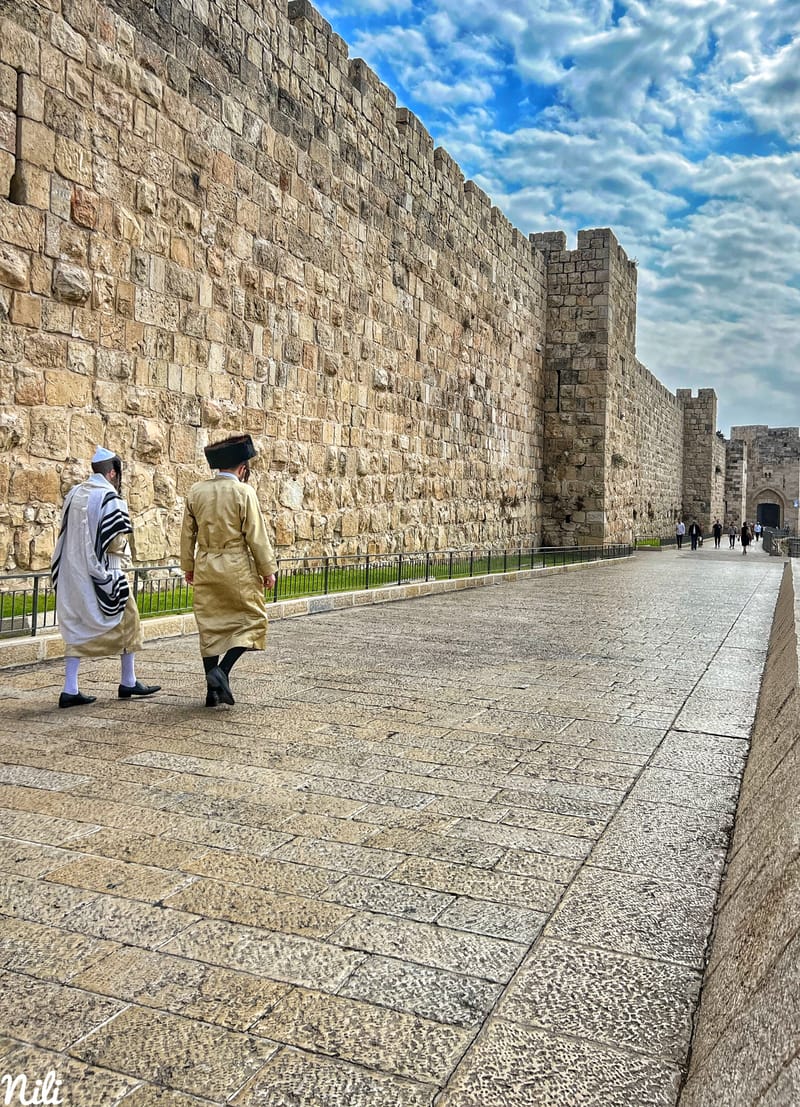 Israeli Nilli Nili Israel - Shalom Shalom