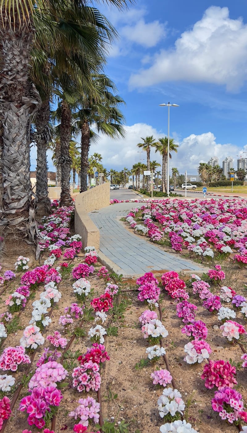 Ashdod Beach Promenade