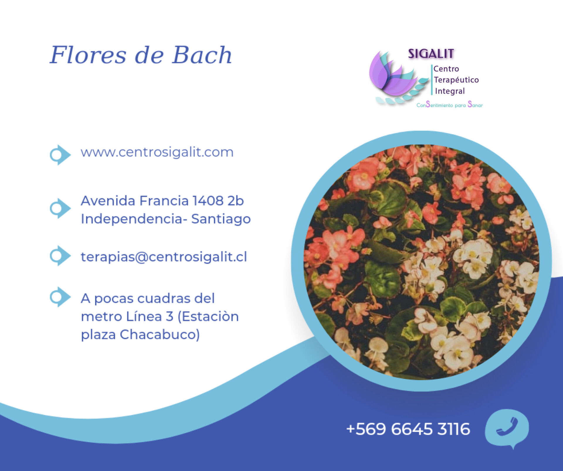 FLORES DE BACH