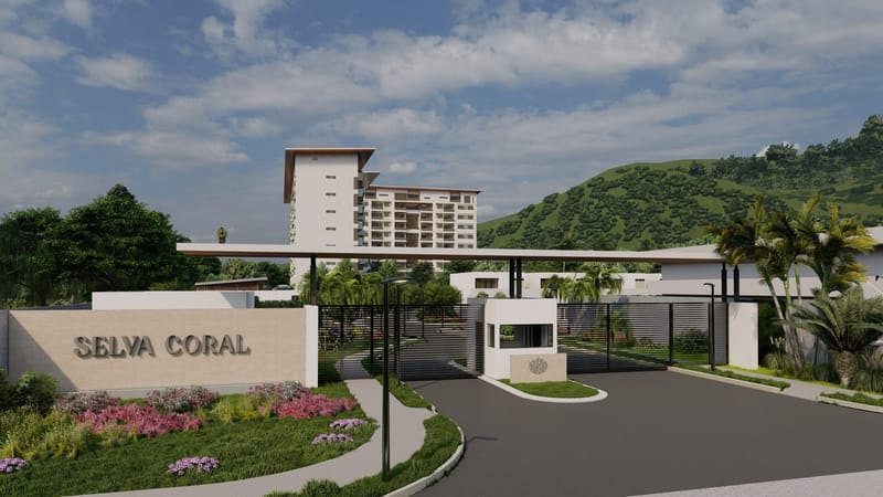 Selva Coral- Preconstruction
