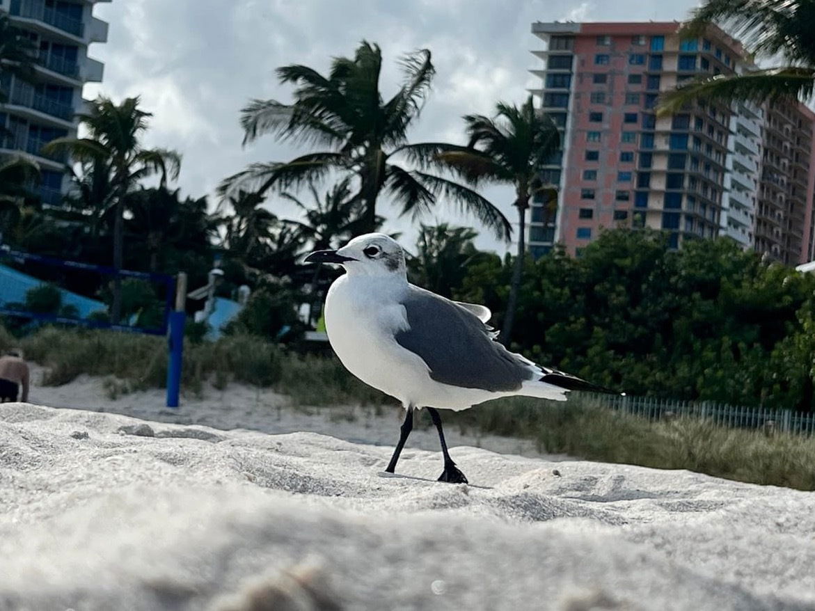 Finding Serenity By The Ocean