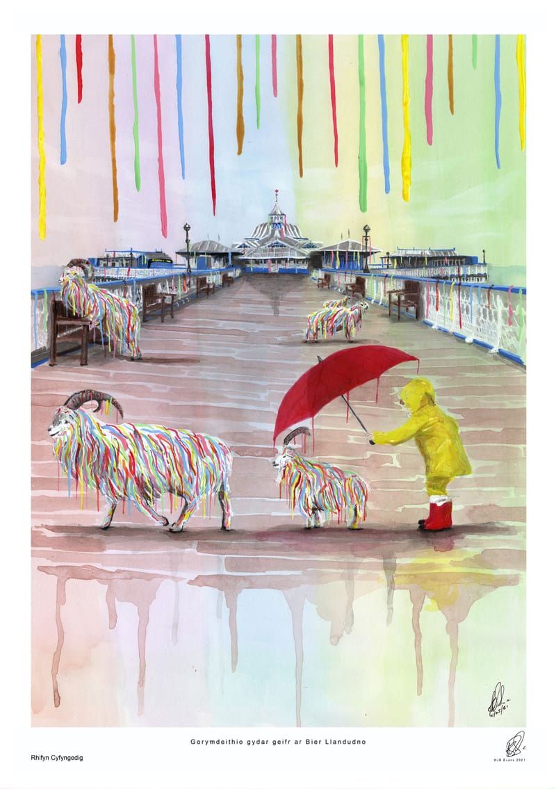 Noah - Argraffiad Cymraeg