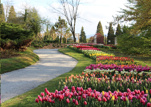 MINITOUR LA PRIMAVERA TRA ITALIA E SLOVENIA  CON PERCORSI NATURALISTICI MOZZAFIATO 27 - 28  - 29 aprile 2023