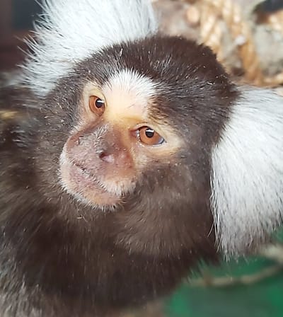 Keep an eye out for nearby Stressbusting™ Activities