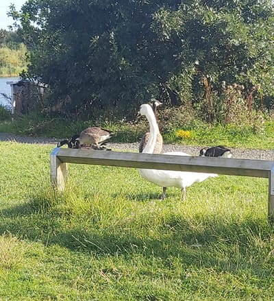 Have a "Safe Place" to unwind locally