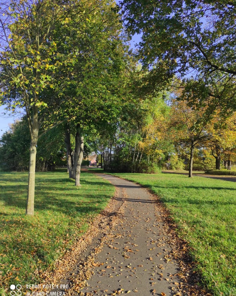 Spirituelle Beratung/Wegbegleitung