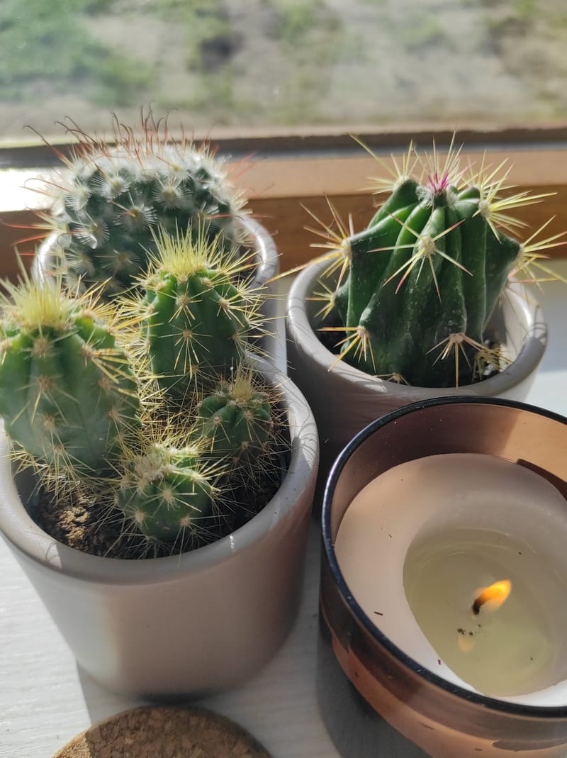 Blockadenlösung/Chakrenreinigung