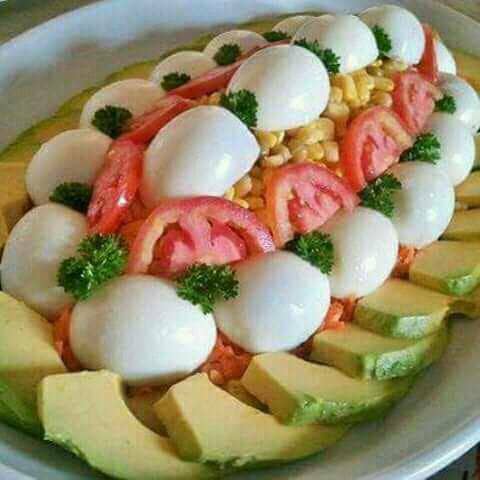 LA PHYSIOLOGIE: LE SYSTÈME CIRCULATOIRE par Dr Désiré BOMBILE