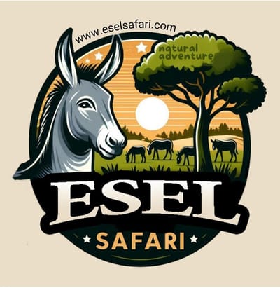 Eselsafari