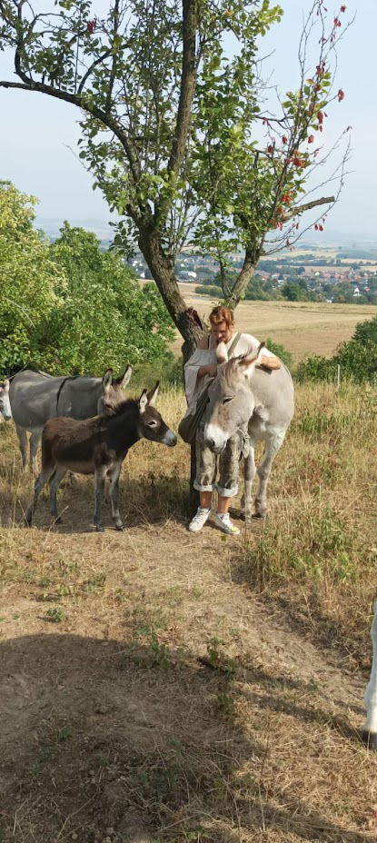 Eselsafari Roßdorfer Roßberg image