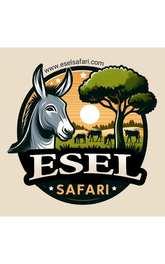 Eselsafari image