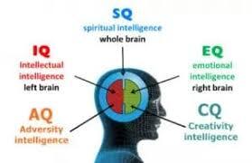 There are four types of Intelligence Says Psychologists