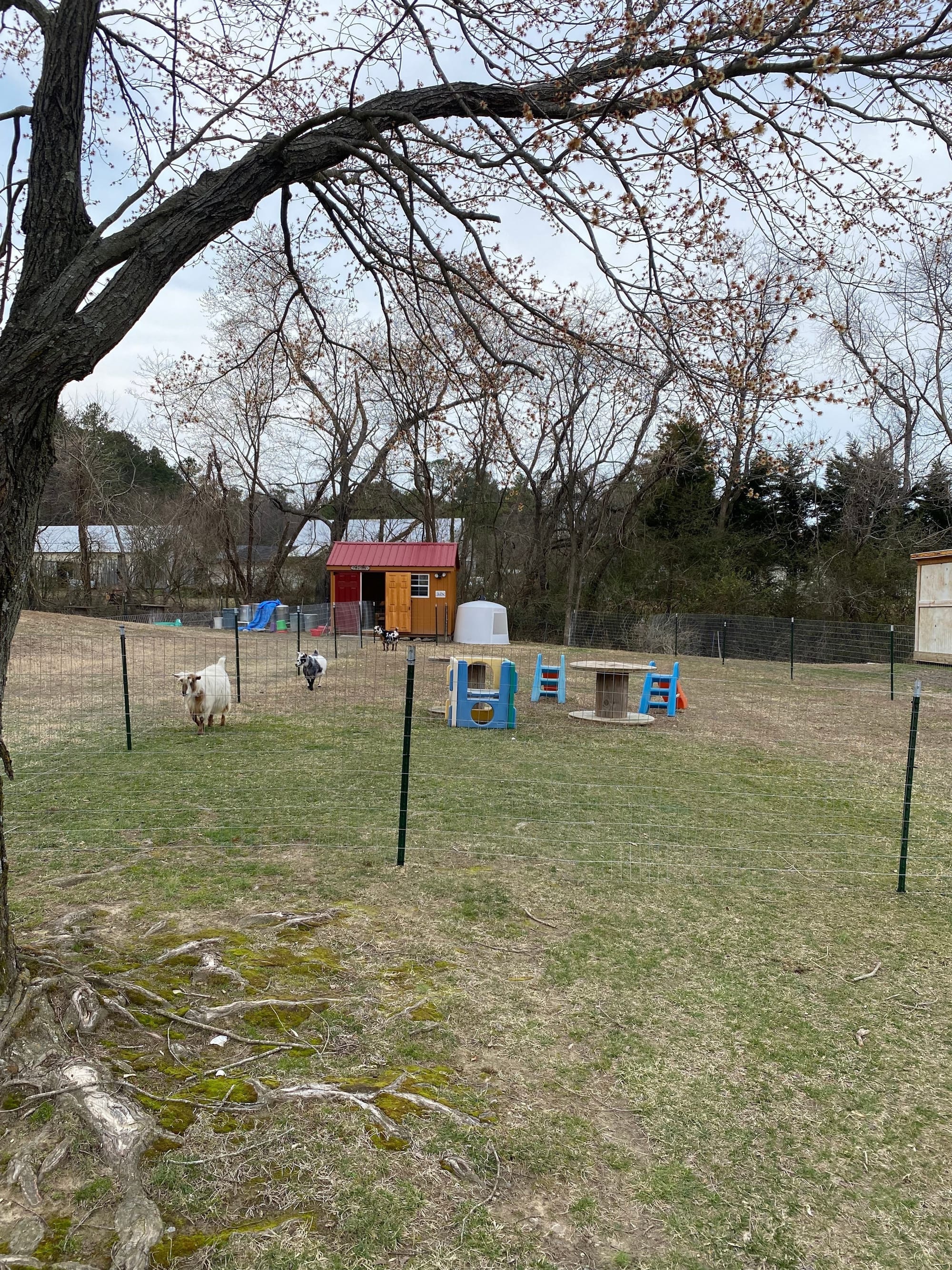 Finished play area