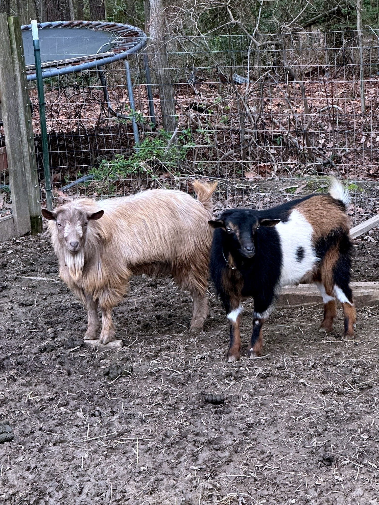 Our Bucks