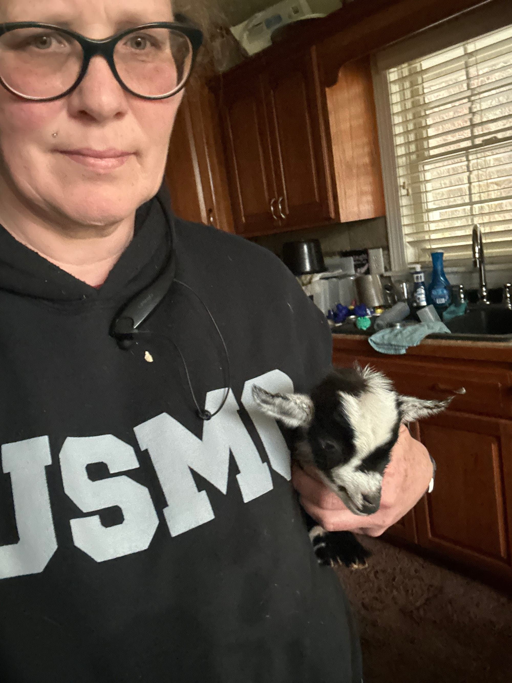 Cats Eye little doeling 2024
