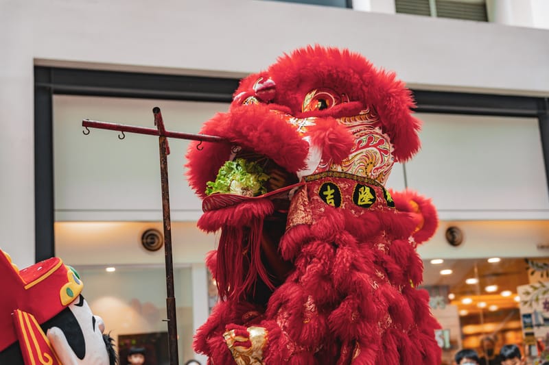 Lion Dance Event