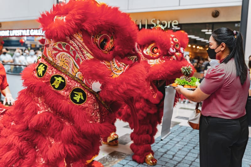 Lion Dance Event