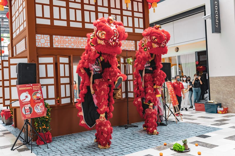 Lion Dance Event