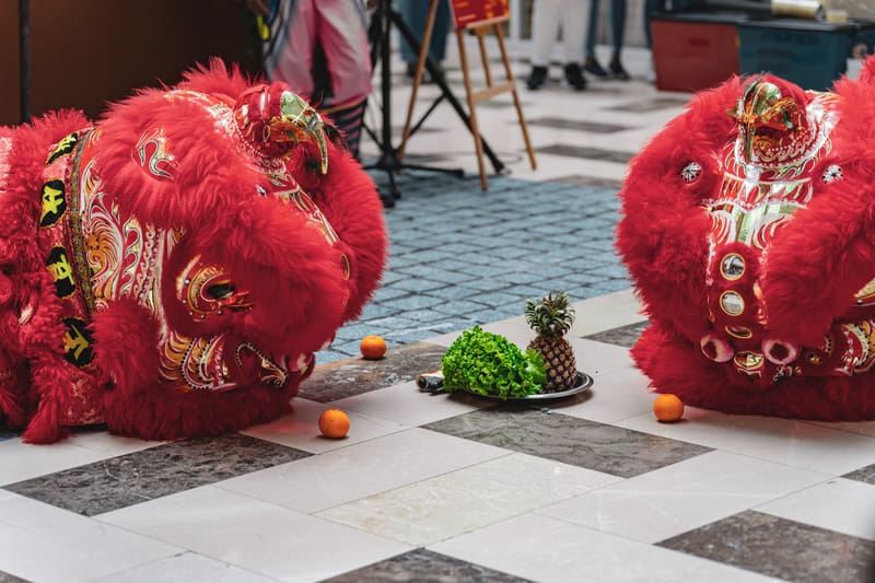 Lion Dance Event