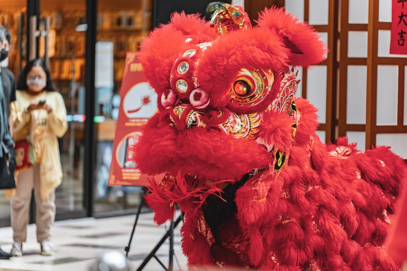 Lion Dance Event