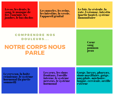 Comprendre mes protocoles image