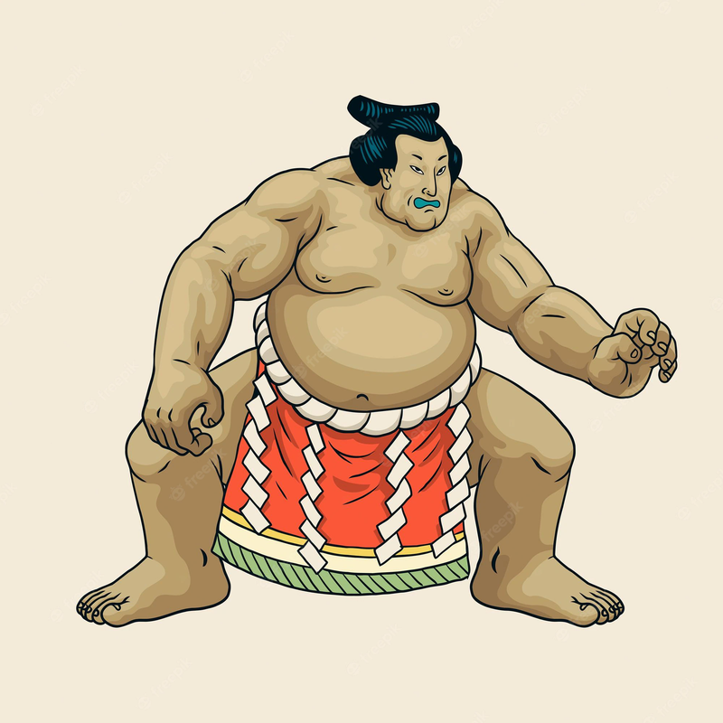 Cours de Sumo