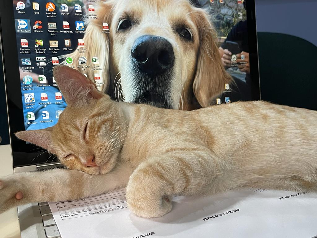 Coco, Milady y Ramoncito