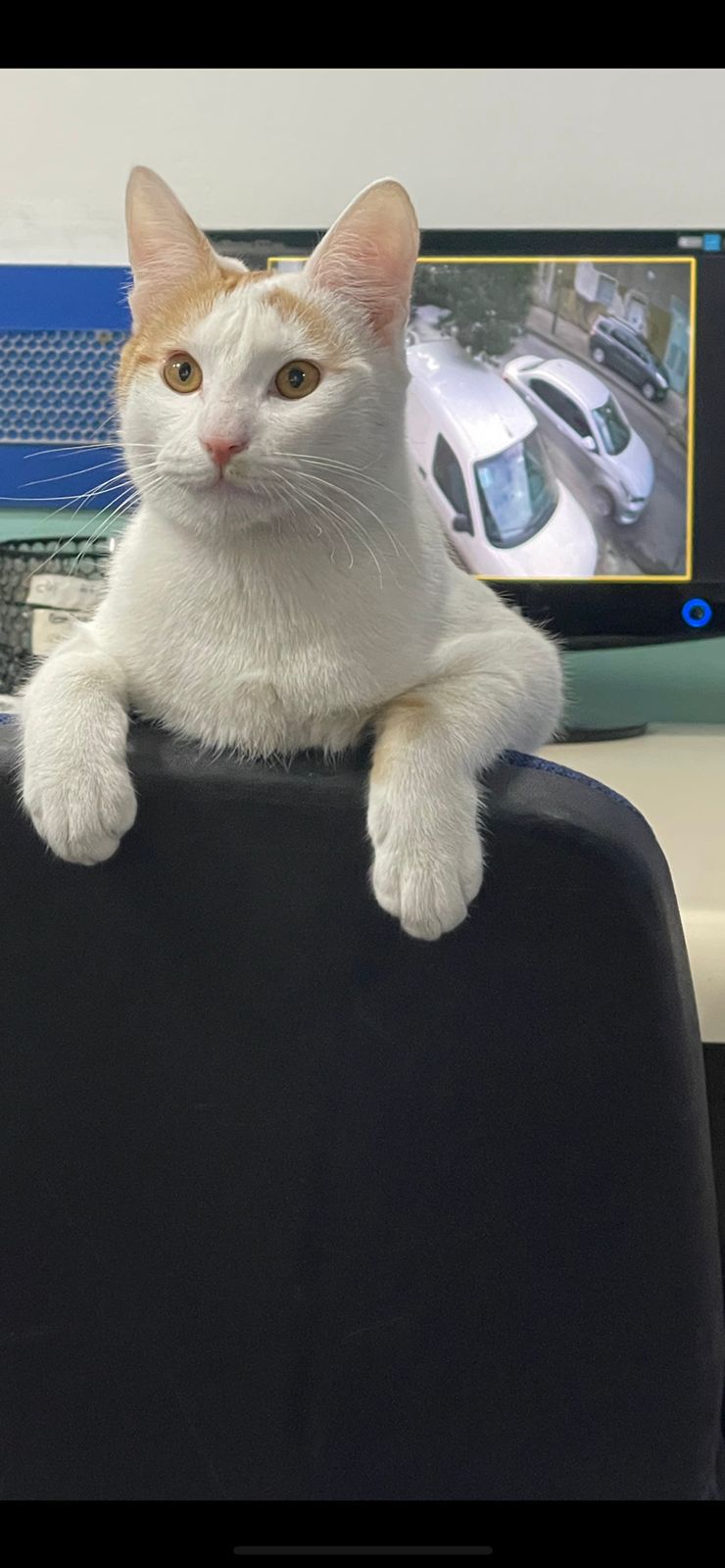 Coco, Milady y Ramoncito