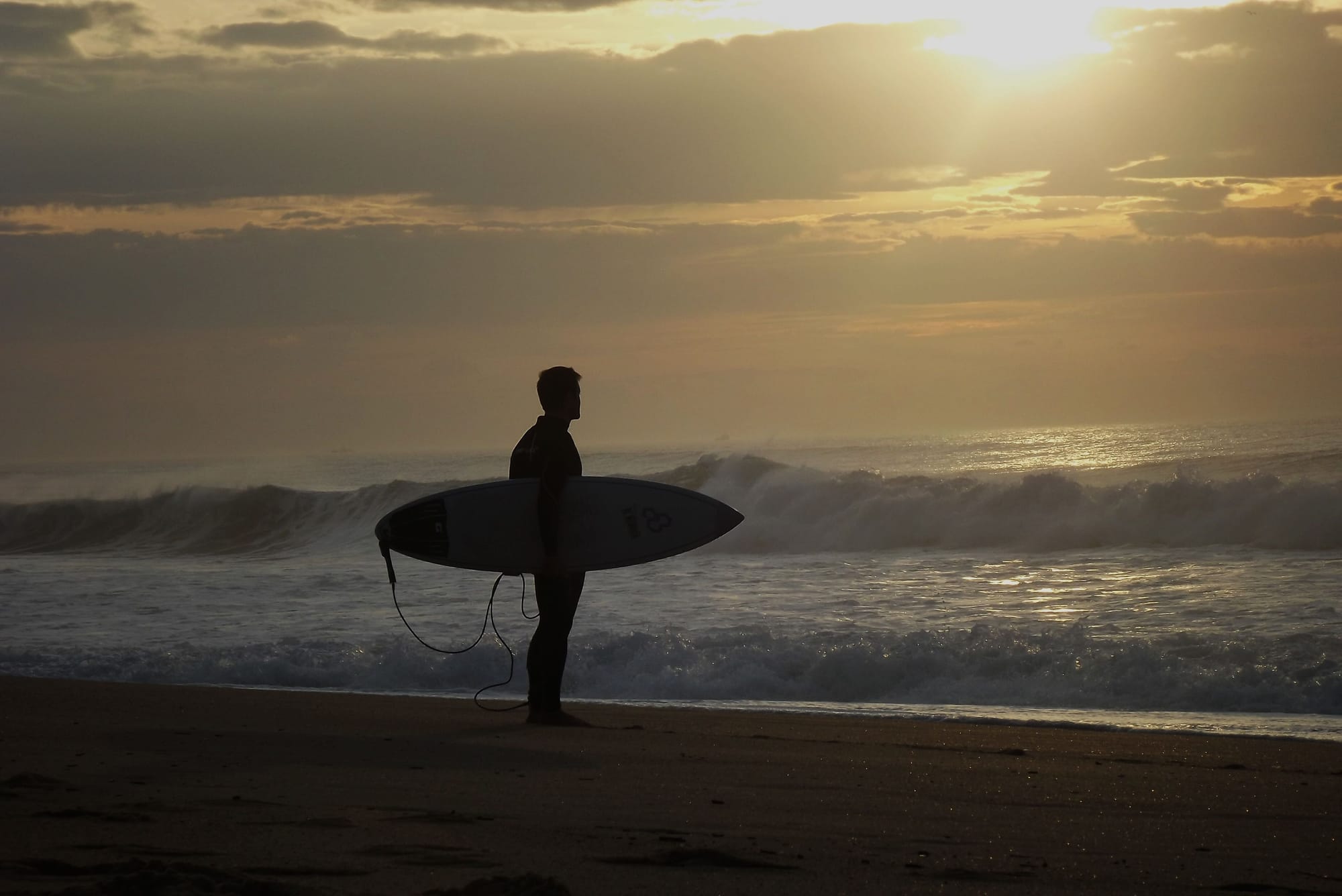 Les landes (40)