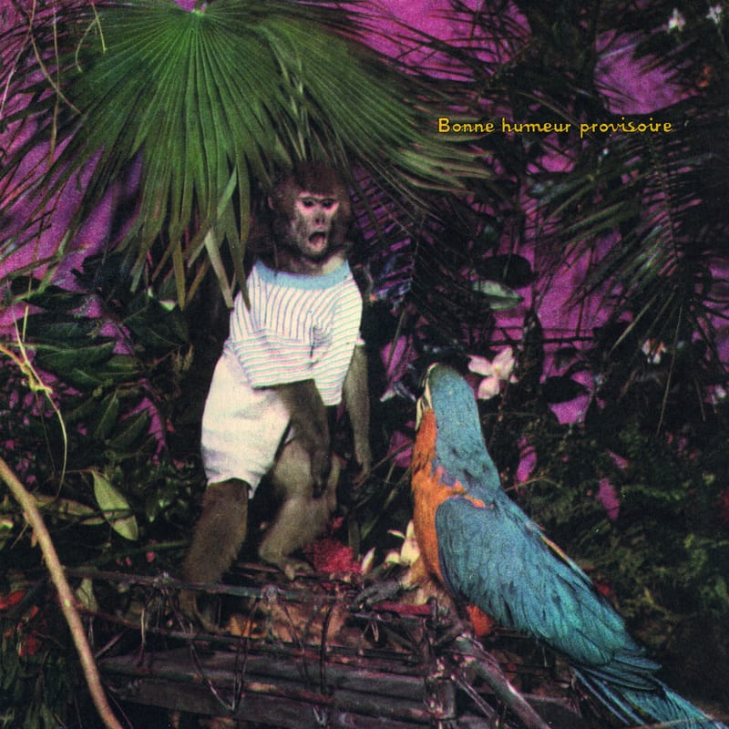 BONNE HUMEUR PROVISOIRE + C_C + POINTER