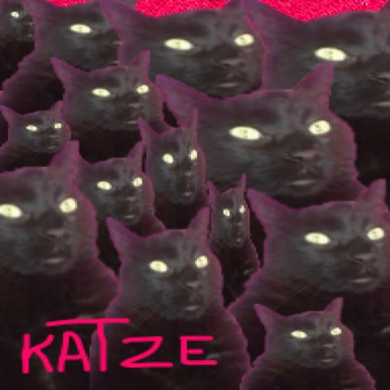 Katze + Mathieu Sylvestre + Les Lumières