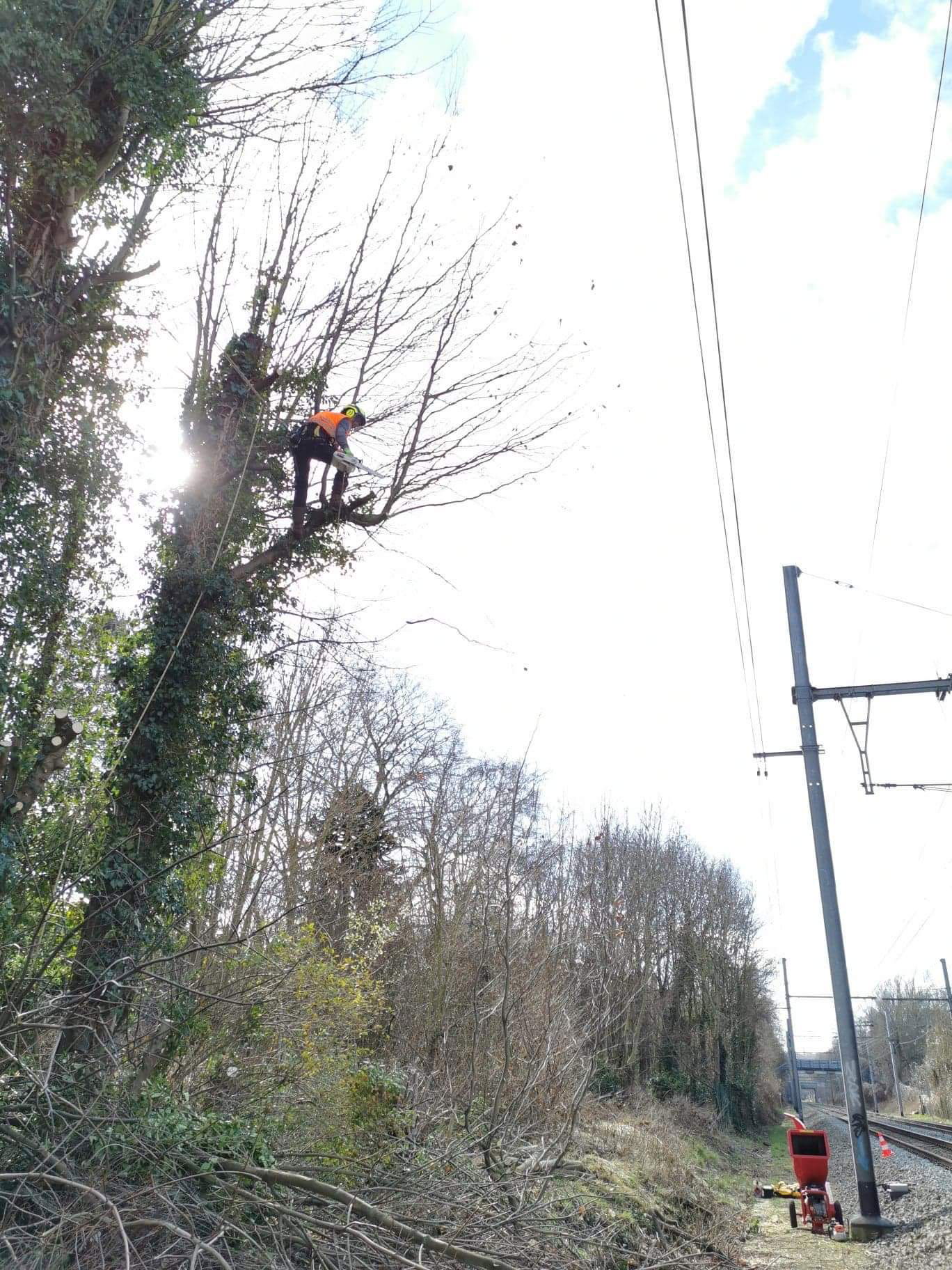 Élagage d'arbres aux abords des voies du chemin de fer.