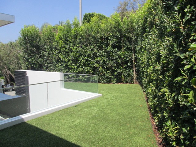 Tree Service in Sacramento