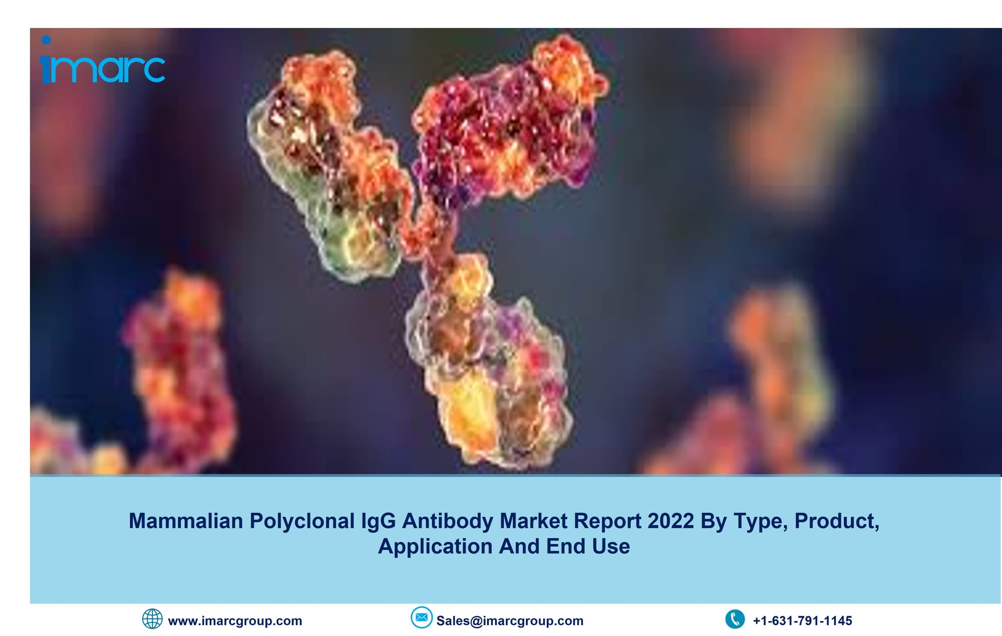 Mammalian Polyclonal IgG Antibody Market Size 2022, Share, Growth, Industry Trends and Forecast Till 2027