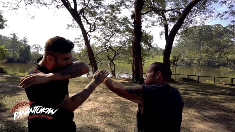 DETRUIÇÃO DE MEMBROS SUPERIORES