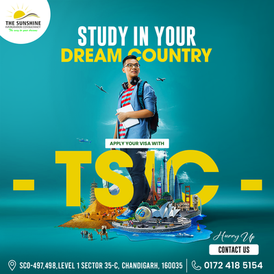 Streamlining the Process: How Study Visa Services Can Simplify Your Journey
