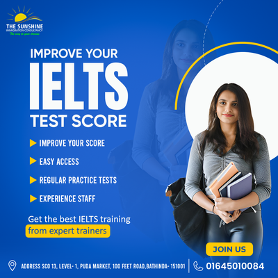 Unlocking the Secrets of IELTS Writing Task 1: Graph Interpretation