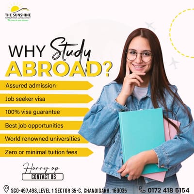 Paving the Way: International Student Scholarships
