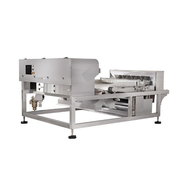 EIR 1200 single layer color sorter