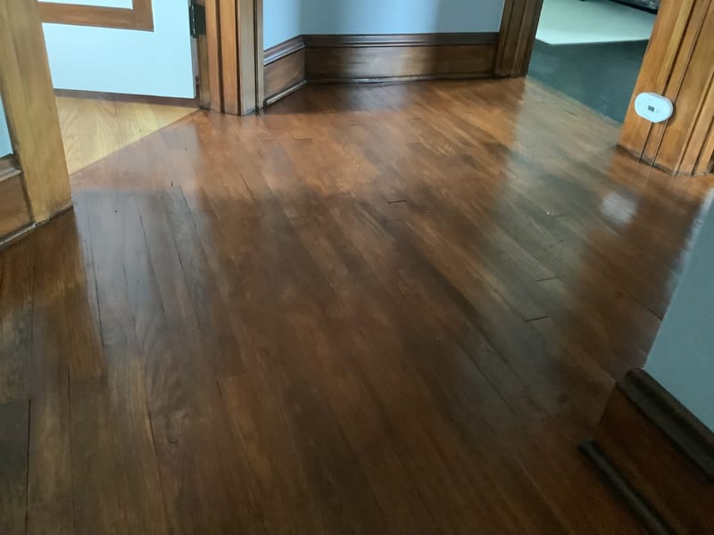 Floor stain & Clearcoat