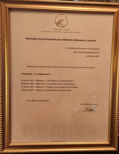 Consultation avec Nanny image