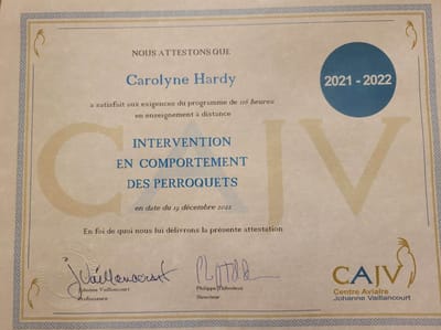 consultation avec Carolyne Hardy image