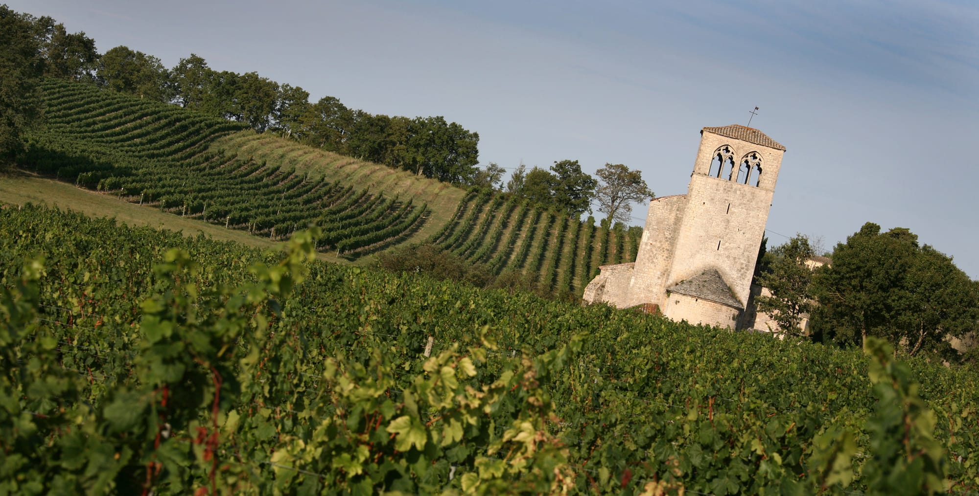 Cahors, la vigne en héritage