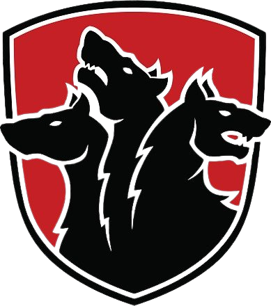 Team Cerberus