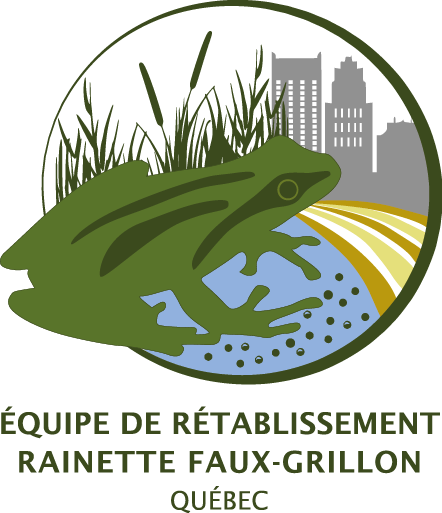 Janvier 2023 Infolettre Rainette faux-grillon