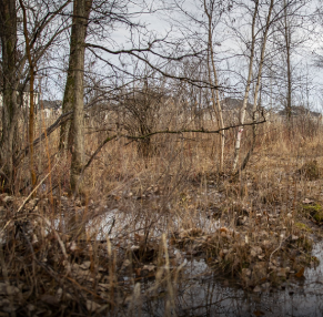 6 Février 2023 POUR UNE VALORISATION DES MILIEUX NATURELS ET AGRICOLES