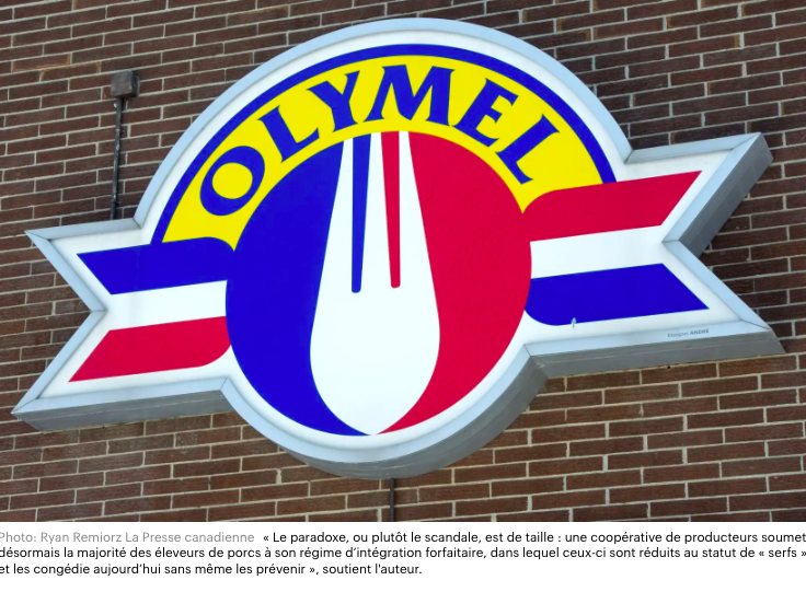 Le 17 avril 2023 - Olymel, symptôme de l’erreur porcine !