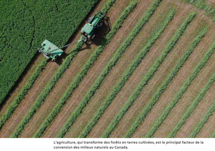 Le 17 avril 2023 - Restauration écologique : par où commencer?