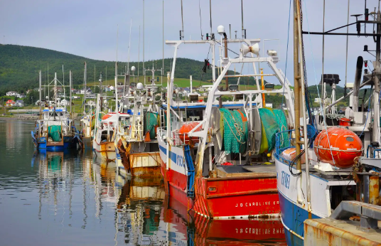 Le 19 juin 2023 - Agir maintenant pour assurer un futur durable aux pêches maritimes du Québec